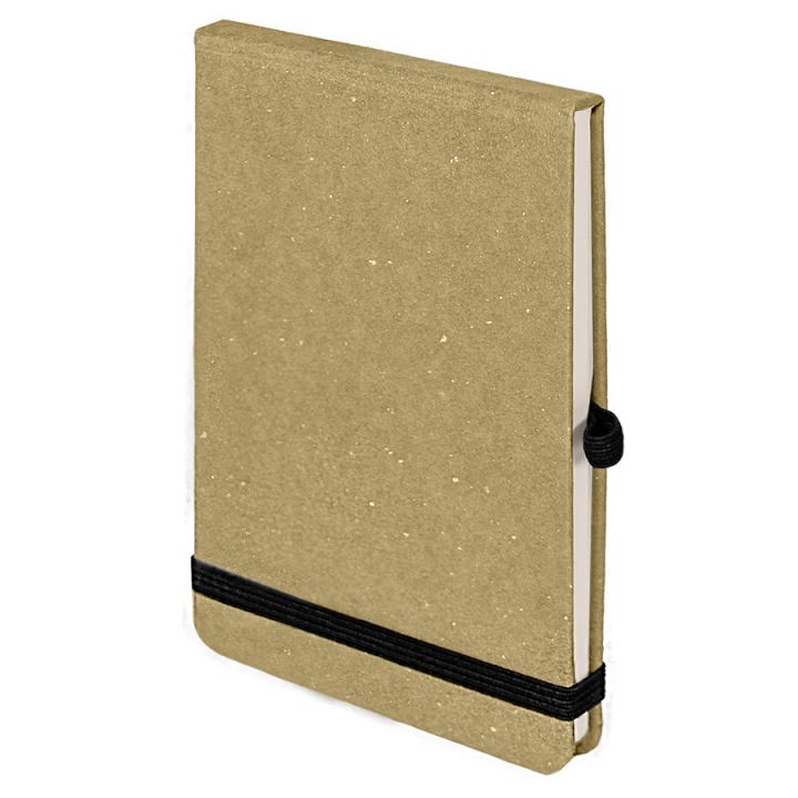 Y-note